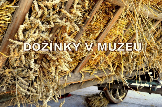 Dožínky v muzeu